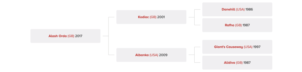 Alash Orda - Dansk Fuldblodshest